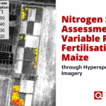Nitrogen Status Assessment for Variable Rate Fertilisation in Maize through Hyperspectral Imagery