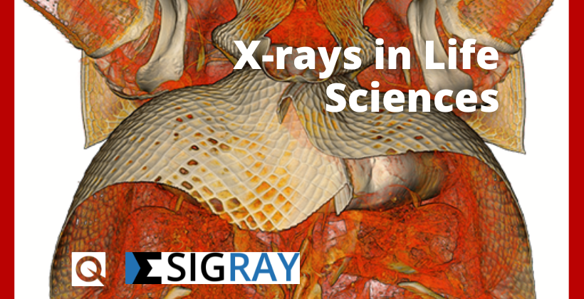 X-rays in Life Sciences
