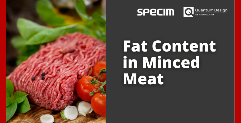 Fat Content in Minced Meat – Hyperspectral Imaging