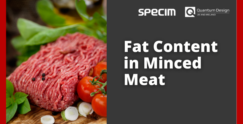 Fat Content In Minced Meat Hyperspectral Imaging QD UK