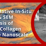 App Note: Correlative In-Situ AFM & SEM Analysis of Bone Collagen at the Nanoscale