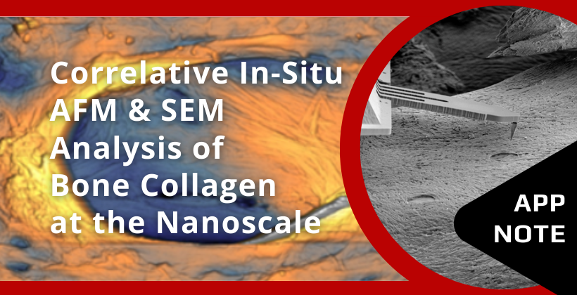 App Note: Correlative In-Situ AFM & SEM Analysis of Bone Collagen at the Nanoscale