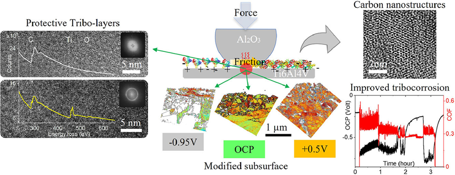 The microstructure modification under different tribo-corrosion conditions