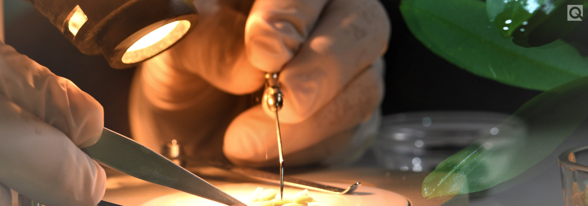 Life Sciences and BioMedical